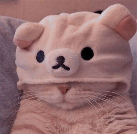 pin  aesthetic pfp
