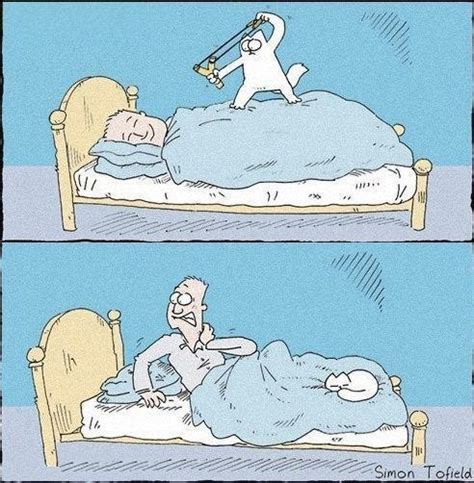 Скачать прикольные и красивые картинки: Комиксы про котов на fun.tochka.net