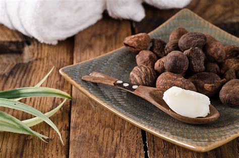 Butyrospermum Parkii (Shea Butter)