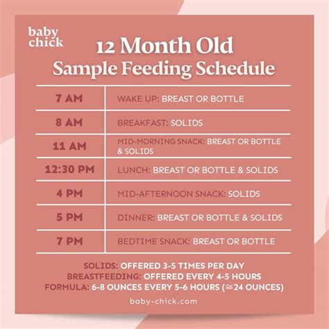 12-Month-Old Baby: Feeding, Sleep, and Milestones by Month - Pregnancy ...