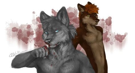 Волки | Wiki | 🐾🐺Род Волков🐺🐾 Amino