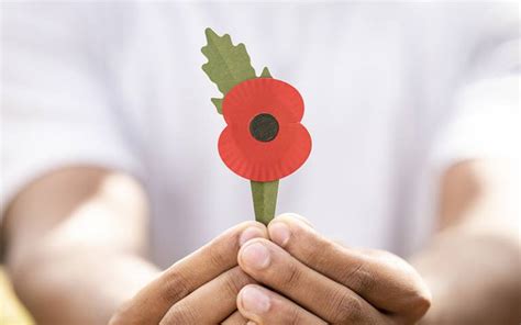 Remembrance poppy transformed to become plastic-free | Mirage News