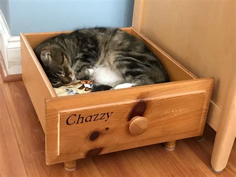 diy cat bed 6