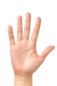 Webbed Digits | Syndactyly | Repairing Webbed Fingers and Toes ...