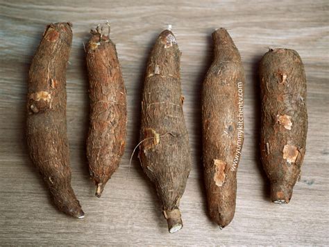 kamoteng kahoy cassava  short introduction yummy kitchen