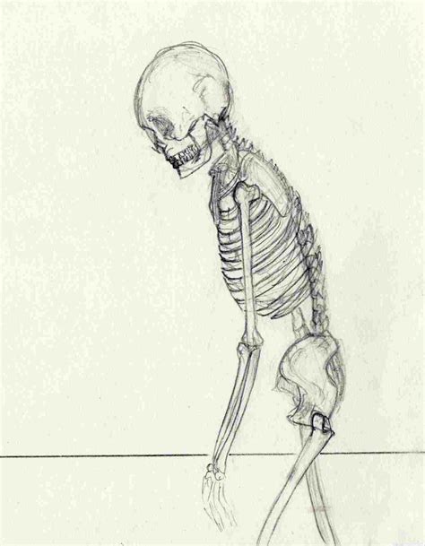 Simple Skeleton Drawing at PaintingValley.com | Explore collection of ...