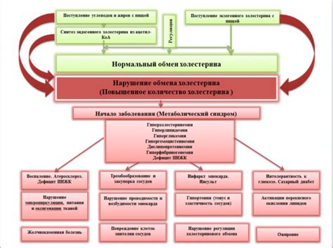 Коэффициент атерогенности: что это такое, норма у мужчин и женщин, как ...