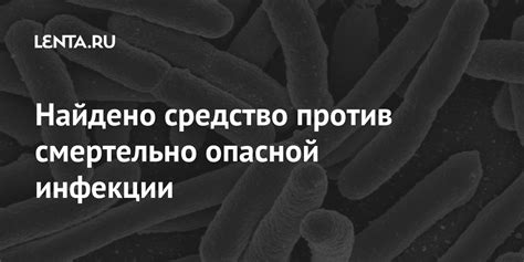 Найдено средство против смертельно опасной инфекции: Наука: Наука и ...