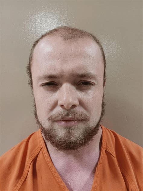 Mobile AL Arrest Records Public and Private Search Options 5