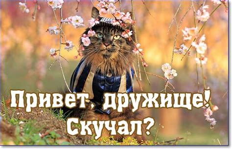 Привет картинки прикольные (69 штук)