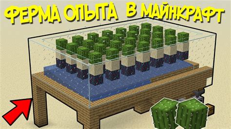 КАК СДЕЛАТЬ ФЕРМУ ОПЫТА В MINECRAFT 1.16 БЕЗ СПАВНЕРА / ФЕРМА ОПЫТА ...
