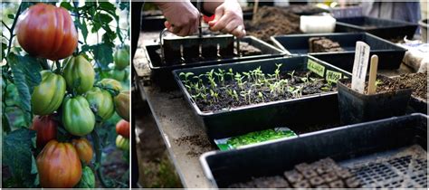 Intro to Organic Market Gardening - Milkwood