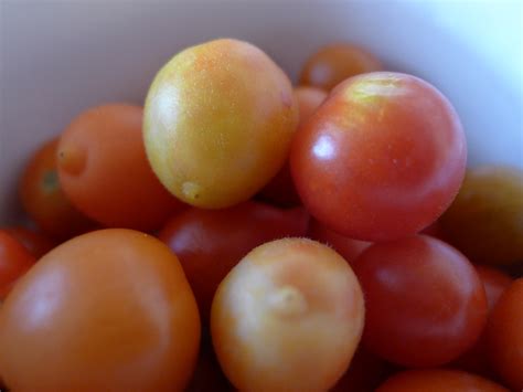Grapes and grapes! | Lorne Street Garden
