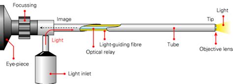 Borescope