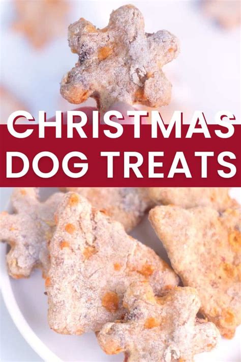 Easy Homemade Christmas Dog Treats | It's A Vizsla