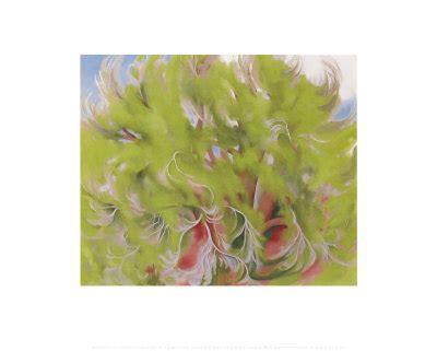 Cottonwood Tree In Spring, 1943 Limited Edition Print by Georgia O ...