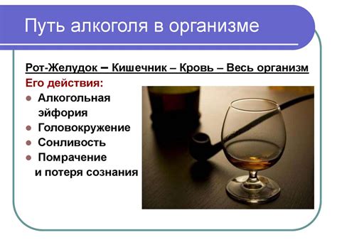 Алкоголь и здоровье - презентация онлайн