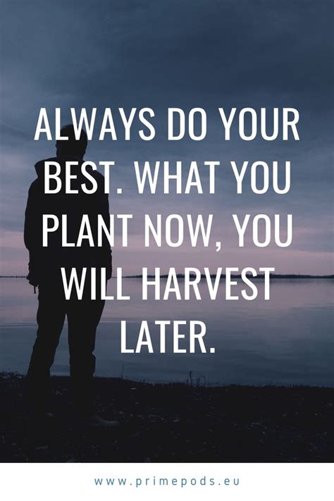 Top 25 Motivational Quotes for Work in 2020 | Work motivational quotes ...