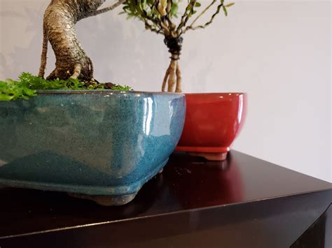 Bonsai Pots | BonsaiStore.co