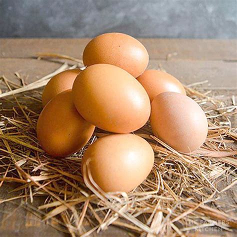 Organic Free Range Eggs - Ganico Organic Estate