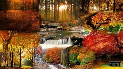 Есенни пейзажи | Beautiful landscape wallpaper, Sunrises nature, Autumn ...