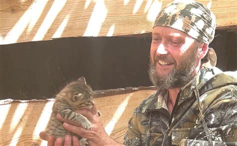 На Харківщині прикордонники врятували кошенят, які народилися в окопі ...