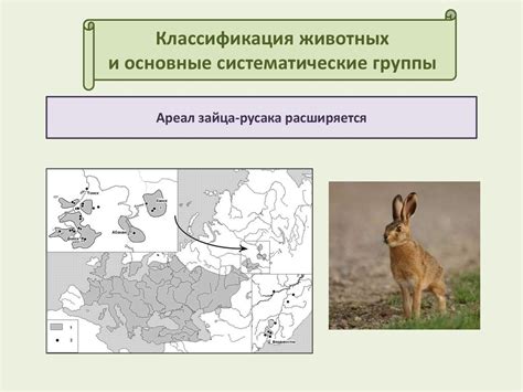 Классификация животных и основные систематические группы - презентация ...
