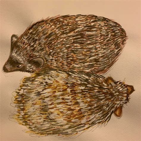 Peench - Etsy
