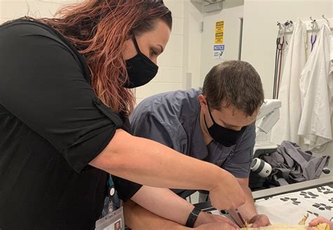 Honoring Veterinary Technicians: History of the Profession