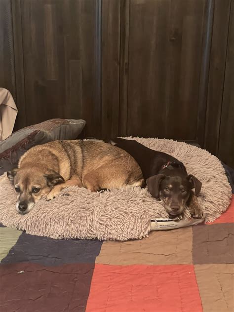 What's Behind the Name Mike Mohn and How It Evolved