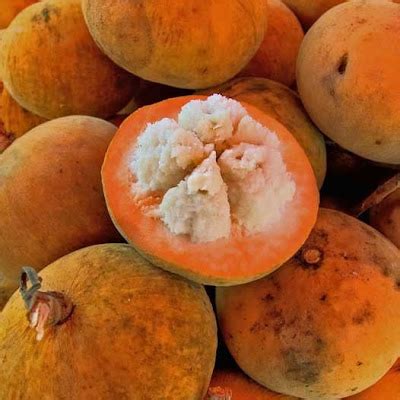 Fruit Warehouse: Kecapi fruit