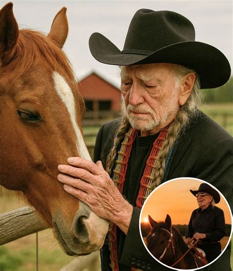 On a quiet Texas afternoon, Willie Nelson stood in silence on his ranch