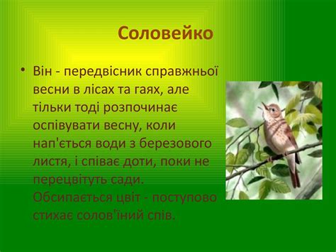 Тварини-символи України - презентация онлайн