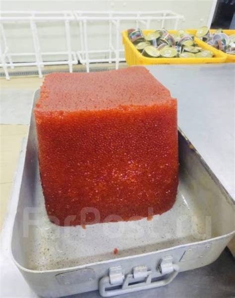 ИКРА горбуши ООО «Корякморепродукт» Камчатка(опт), в наличии. Цена: 4 ...