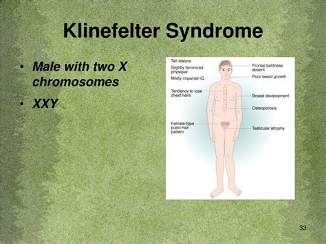PPT - Biology PowerPoint Presentation, free download - ID:5784350