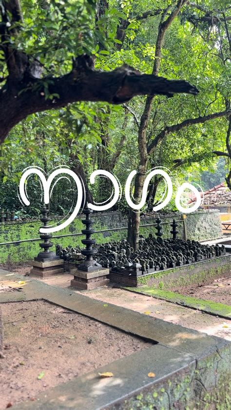 Anandhan Nambiar (@_anandhan_nambiar) • Instagram photos and videos