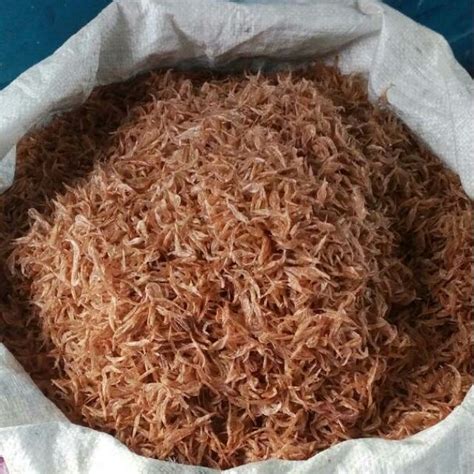 udang geragaububuk kg shopee malaysia