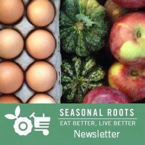 Organic vs sustainable vs local - which is best? - The Veggie Fairy Team