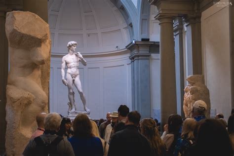 Шедевр епохи відродження. Давид Мікеланджело / Galleria dell'Accademia ...