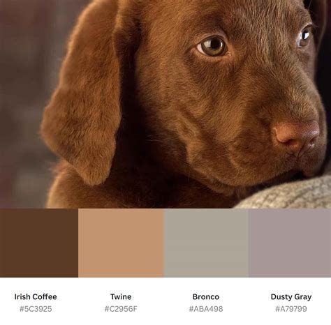 shades  brown color  names hex rgb cmyk codes