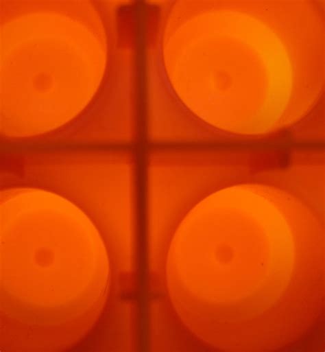 pack   photo  freeimages