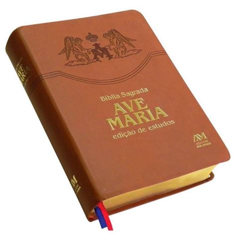 Biblia Catolica De Estudo