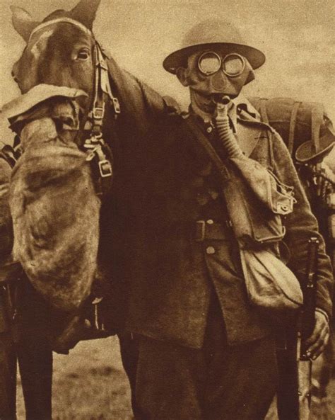 249 best images about War Horses (horses that went to war) on Pinterest ...