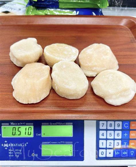Курильский гребешок - только получили