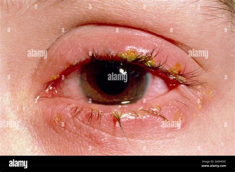 The warren edward buffett secret to building wealth over decades
