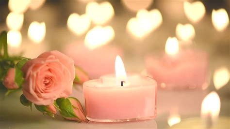 Pink Camellia Flowers And Lighted Tin Candles On A Gray Background ...