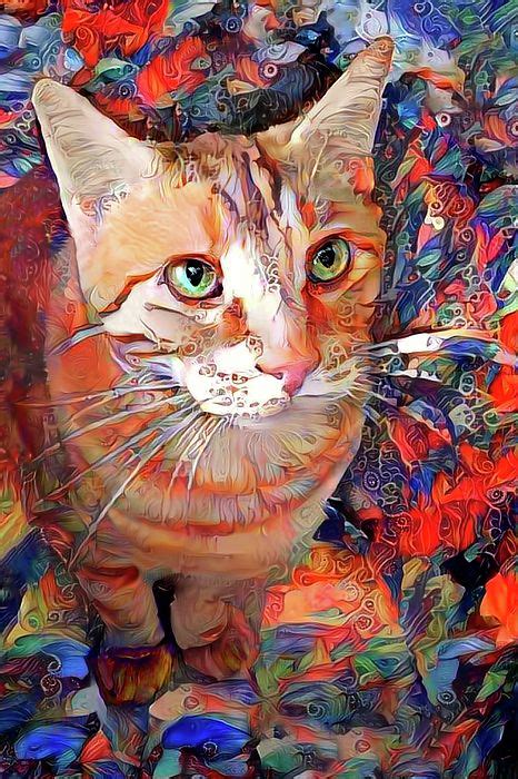cats  cat art ideas  save today crazy cats cute cats