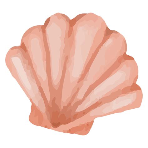 Shell Under The Sea Clip art Element Transparent Background 24400379 PNG