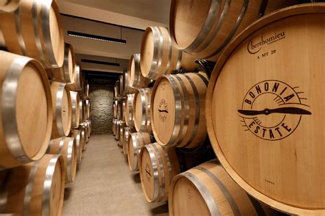 Дегустации | BONONIA ESTATE WINERY & RESORT
