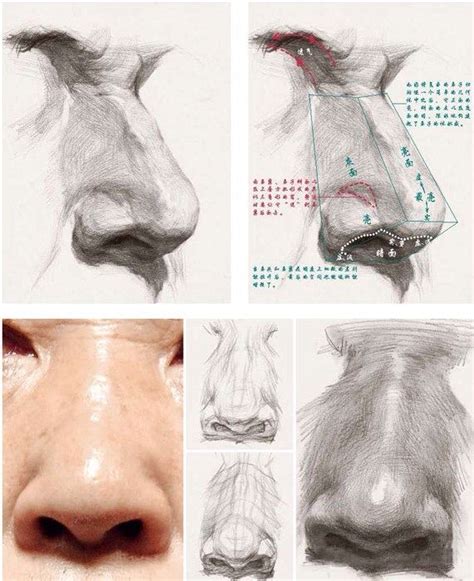 Pin by Olya on рисовако-вдохновляки:) | Nose drawing, Anatomy art ...
